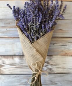 Bouquet Of Lavender